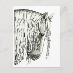Andalusisk True Romantic Horse Vykort