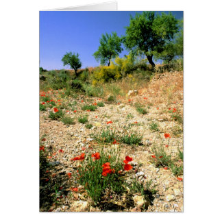 Andalusiskt landskap med poppies. hälsningskort