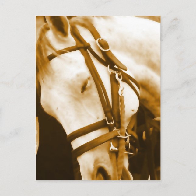 Andalusiskt vykort (Framsida)