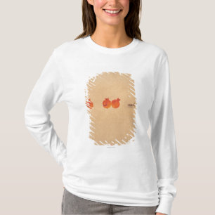 Andar i himmel- och jordserien No.5 Tee Shirt