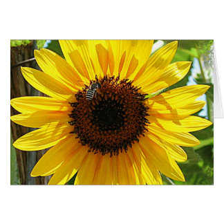 andas inte för djupt hälsningskort