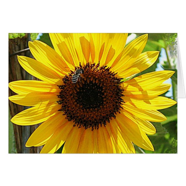 andas inte för djupt hälsningskort (Framsidan Horizontal)