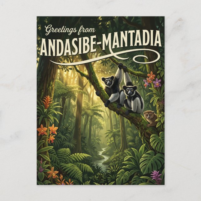 Andasibe-Mantadia nationalpark Madagaskar Vykort (Framsida)