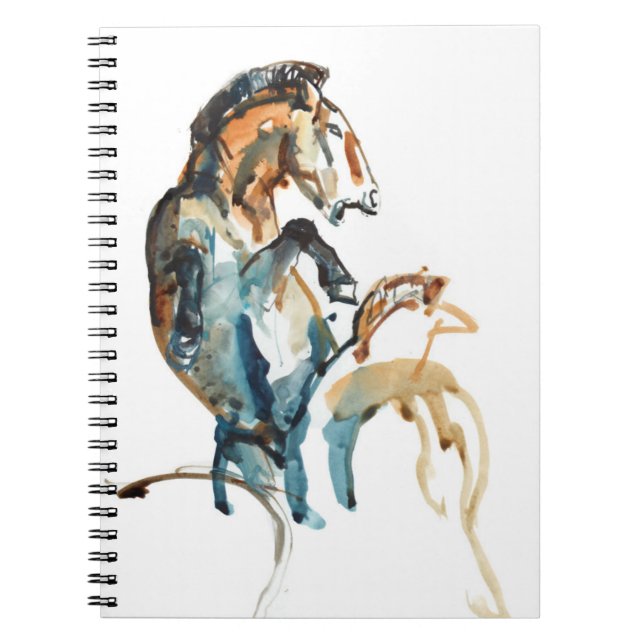 Ande Anteckningsbok Med Spiral (Framsidan)