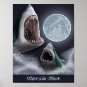 Ande av hajaffischen poster
