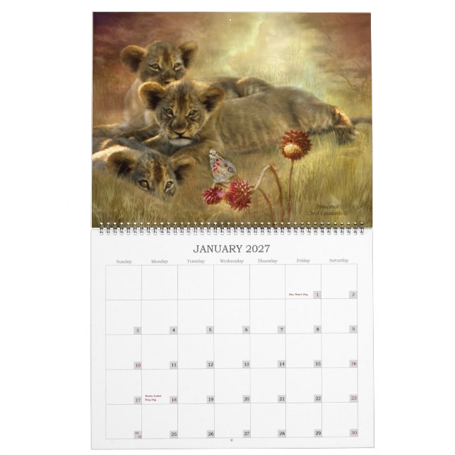 Ande av vilden - AFRIKAkonstkalender 2013 Kalender (Jan 2027)
