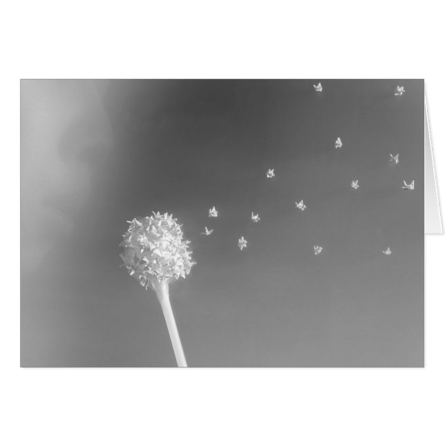 Ande av vinden OBS kort (Framsidan Horizontal)