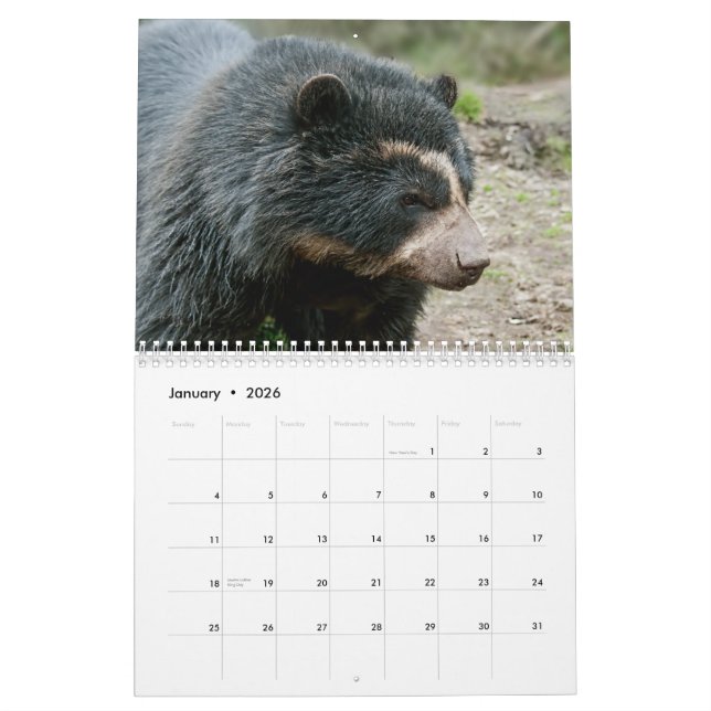 Andean Bear Foundation Calendar 2013 Kalender (Jan 2026)