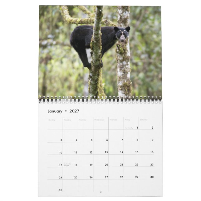 Andean Bears II-15 månaders kalender 1/2012-3/2013 (Jan 2027)