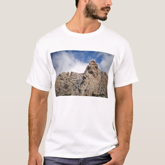 Andean berg tee (Framsida)