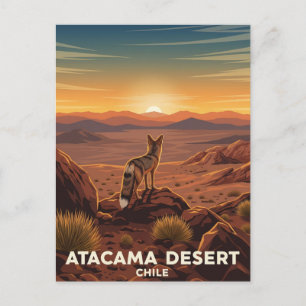 Andean Fox i Atacama Desert Chile Vykort