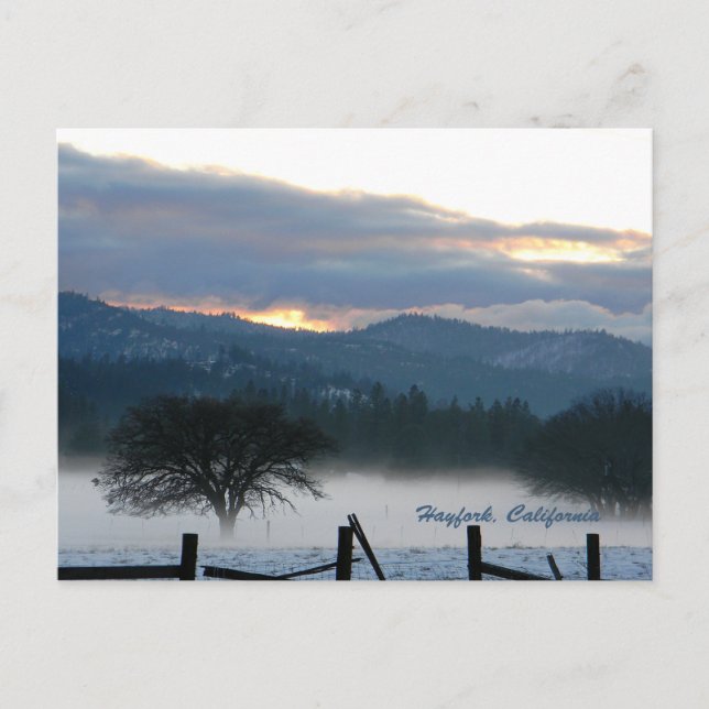 Andens uppvaknande...... Vykort (Framsida)