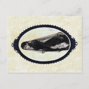 Anders Zorn, Widow-vykort Vykort