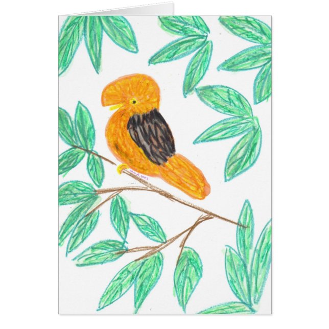 Andinsk CockOfTheRock (Rupicola peruvianus) Hälsningskort (Framsidan)