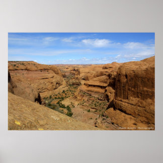 ändlös Canyon Poster