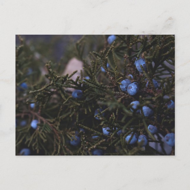 "Andra blå världar" Vykort (Framsida)