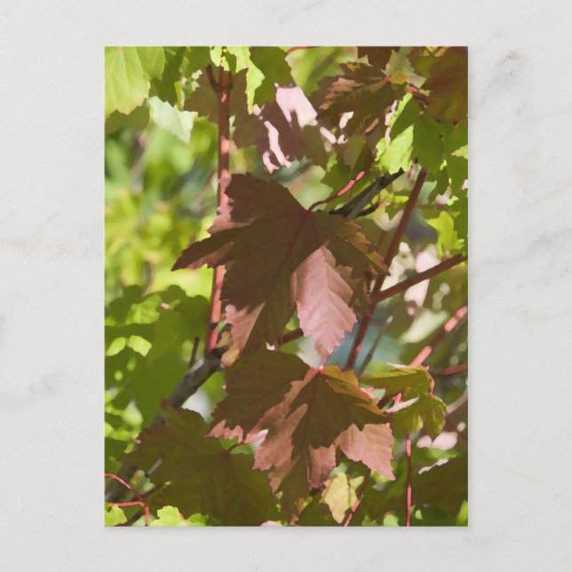 Ändra Höst löv Vykort (Framsida)