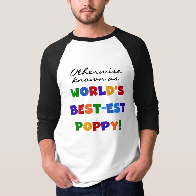 Andra kända bästa diskettskjortor och presenter t shirt (Framsida)