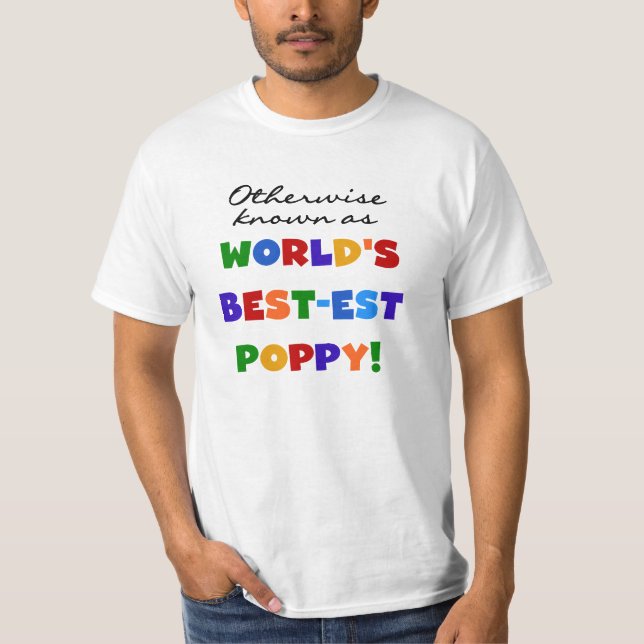 Andra kända bästa diskettskjortor och presenter t shirt (Framsida)