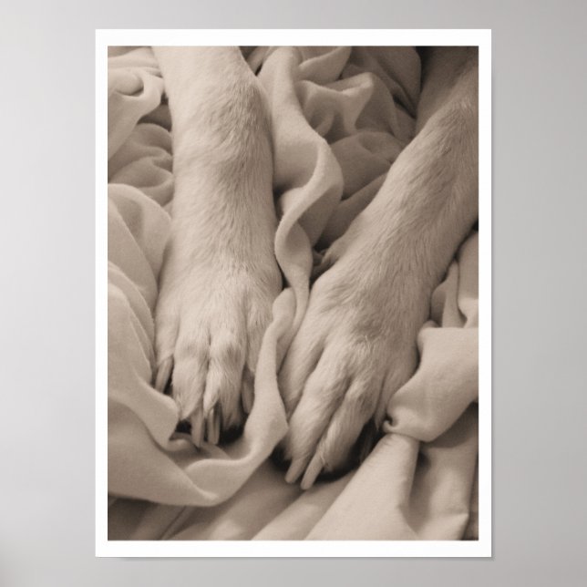 Ändra storlek ~ Poster/Skriv ut Poster (Framsidan)