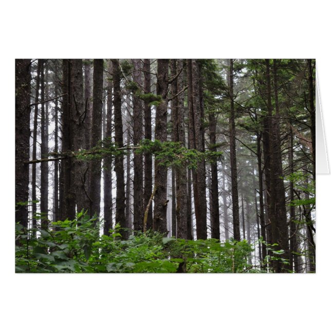 Andra stranden vid La Push, WA Hälsningskort (Framsidan Horizontal)