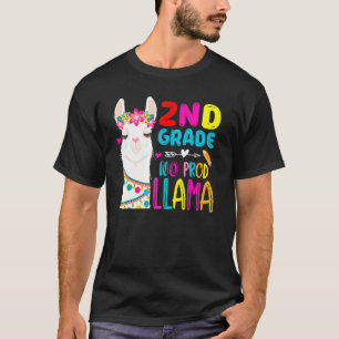 Andra teamet, andra Klass-läraren Rainbow No Prob  T Shirt