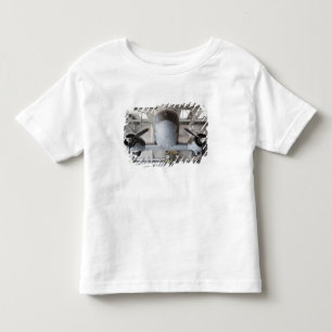 Andra världskriget C-47 Dakota transportflygplan, T-shirt