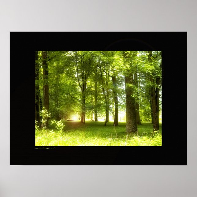 Ändrad Poster (Framsidan)