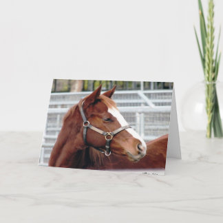 "Ändrar att växa ifrån varandra inte…", Kort