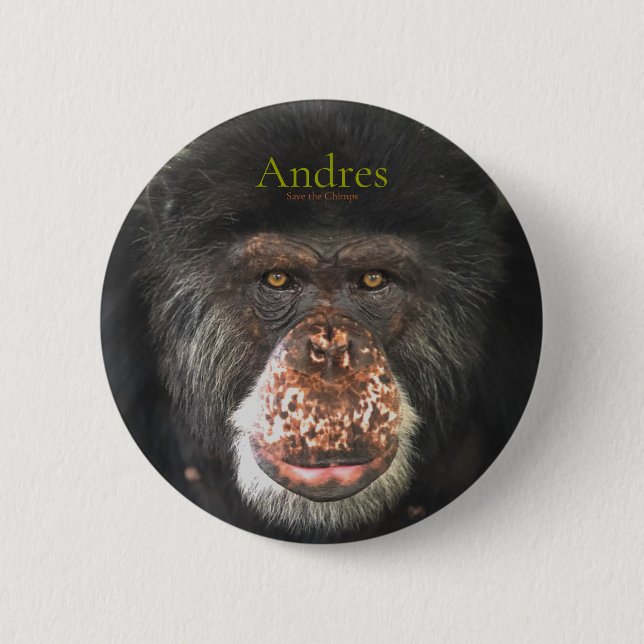 Andres, Spara Chimps Knapp (Framsida)