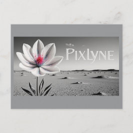 Andrew Goodchild Post Card Vykort