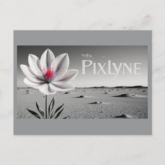 Andrew Goodchild Post Card Vykort