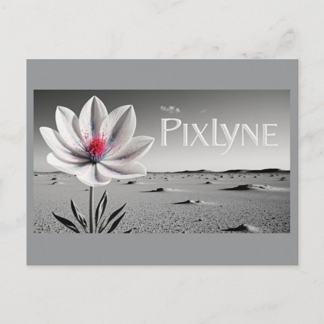 Andrew Goodchild Post Card Vykort (Framsida)