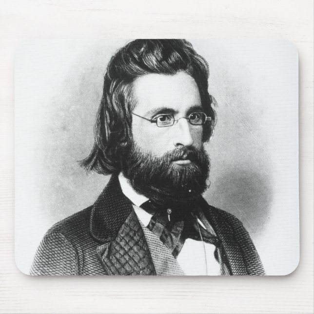 Andrew Jackson Musmatta (Framsidan)