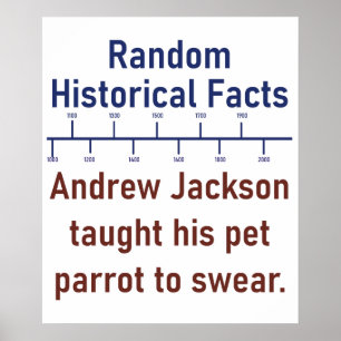 Andrew Jackson Taught Hans Parrot i Swear - Histo Poster