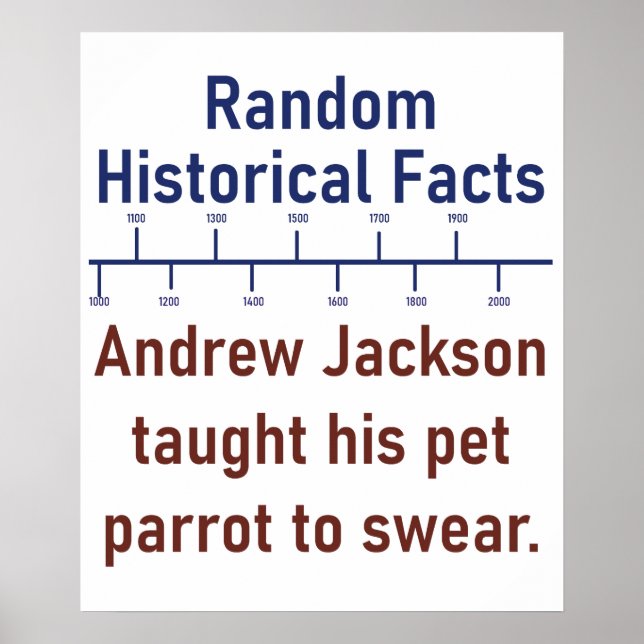Andrew Jackson Taught Hans Parrot i Swear - Histo Poster (Framsidan)