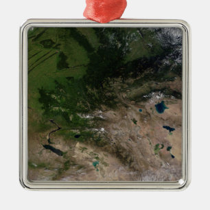 Ändringen i vegetation julgransprydnad metall