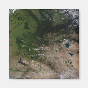 Ändringen i vegetation magnet