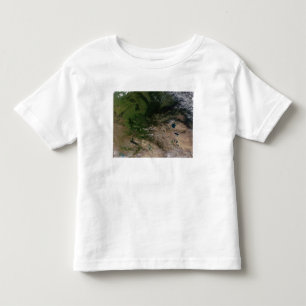 Ändringen i vegetation t shirt