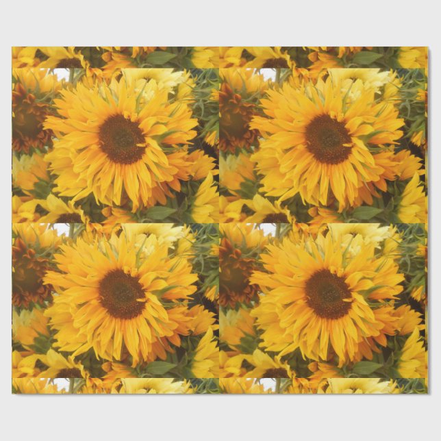 Andriola Presentpapper (Platt)