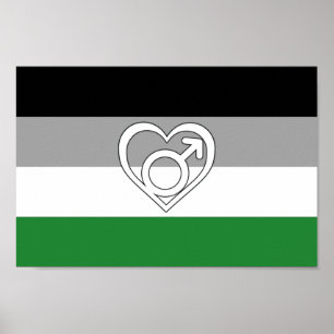 Androphilia stolthetsflagg och symbol poster