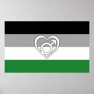 Androphilia stolthetsflagg och symbol poster