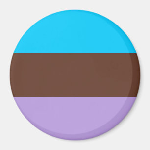 Androsexuell stolthetsflagga magnet