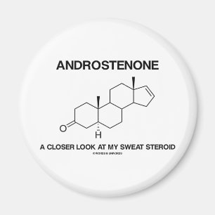 Androstenone en mer nära Look på min svettsteroi Magnet
