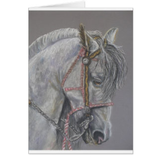 Andualusian hästkort hälsningskort