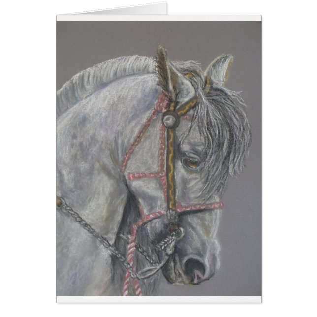 Andualusian hästkort hälsningskort (Framsidan)