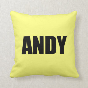 Andy Kudde