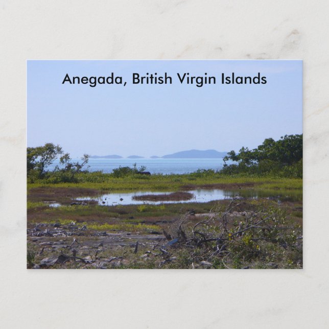 Anegada BVI Vykort (Framsida)