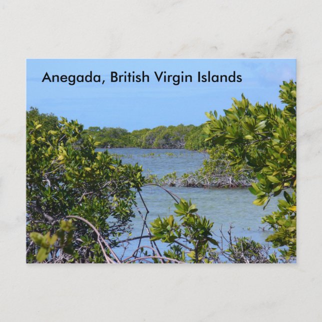 Anegada BVI Vykort (Framsida)