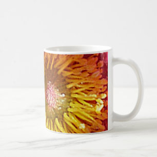 Anemon Kaffemugg